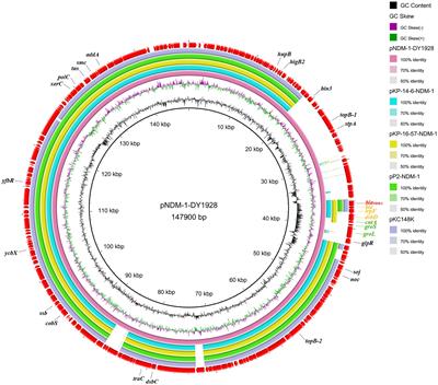 Emergence of a NDM-1-producing ST25 Klebsiella pneumoniae strain causing neonatal sepsis in China